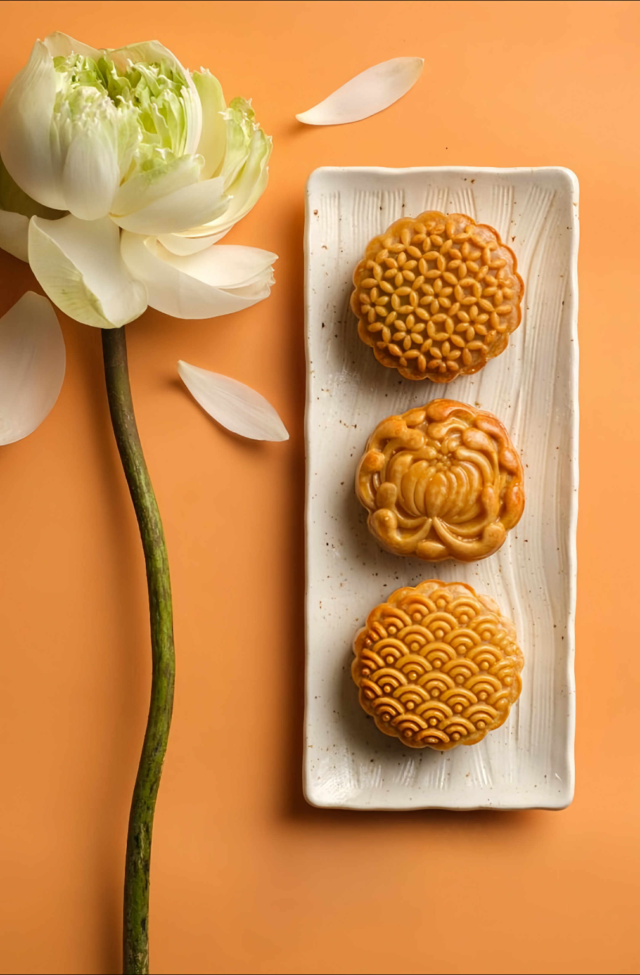 Ảnh trang trí bên trái